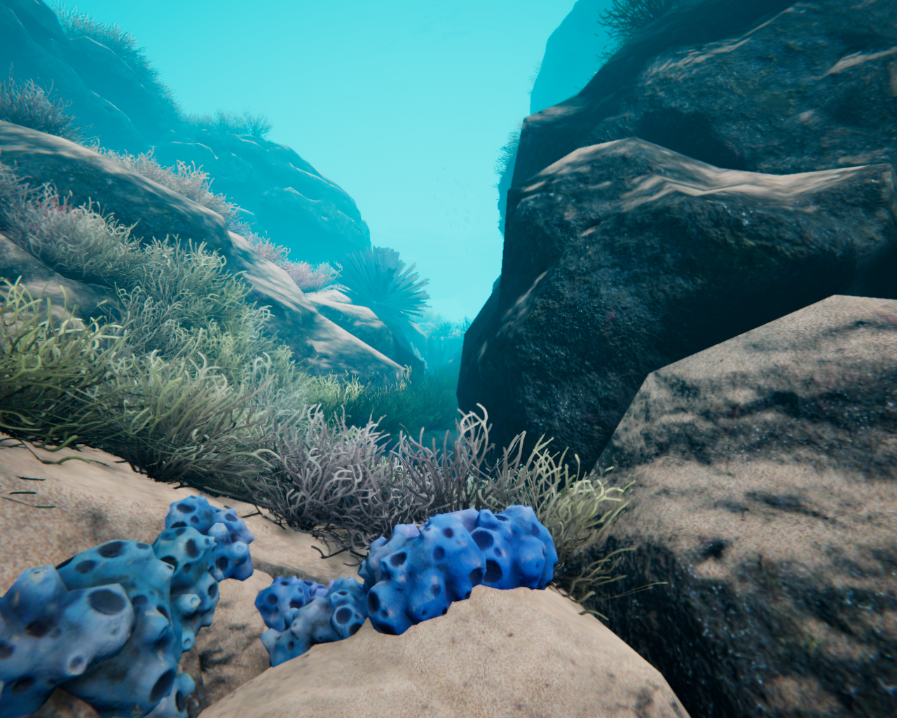 beyond_blue_1