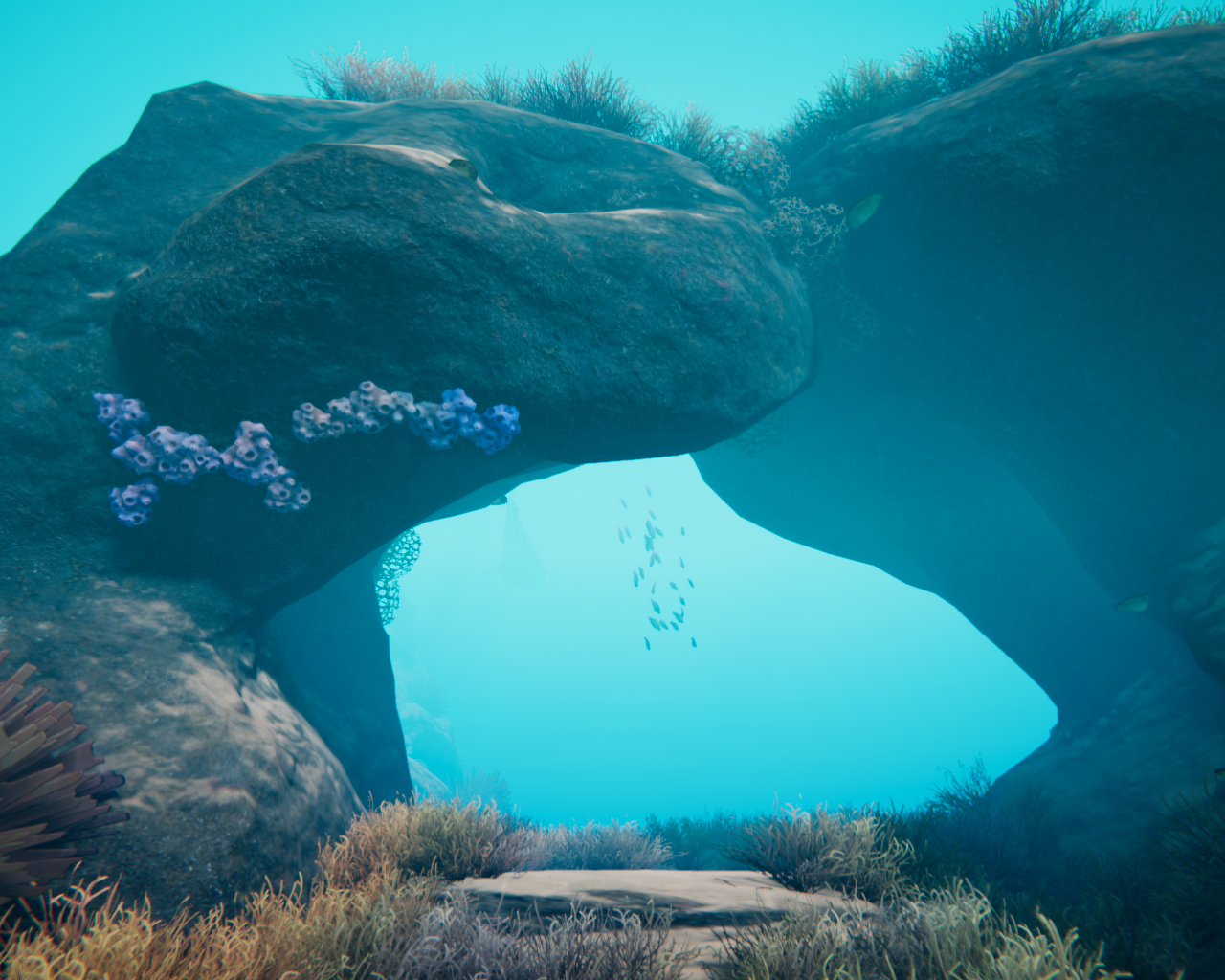 beyond_blue_2