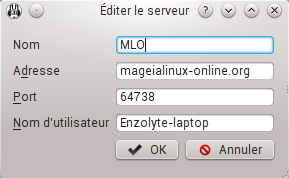 connexion_mumble
