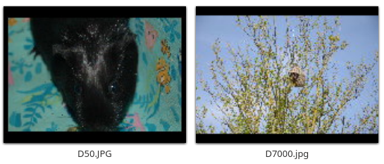 d50-d7000