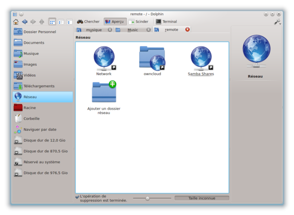 dolphin_reseau