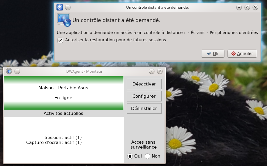 dwservice_1