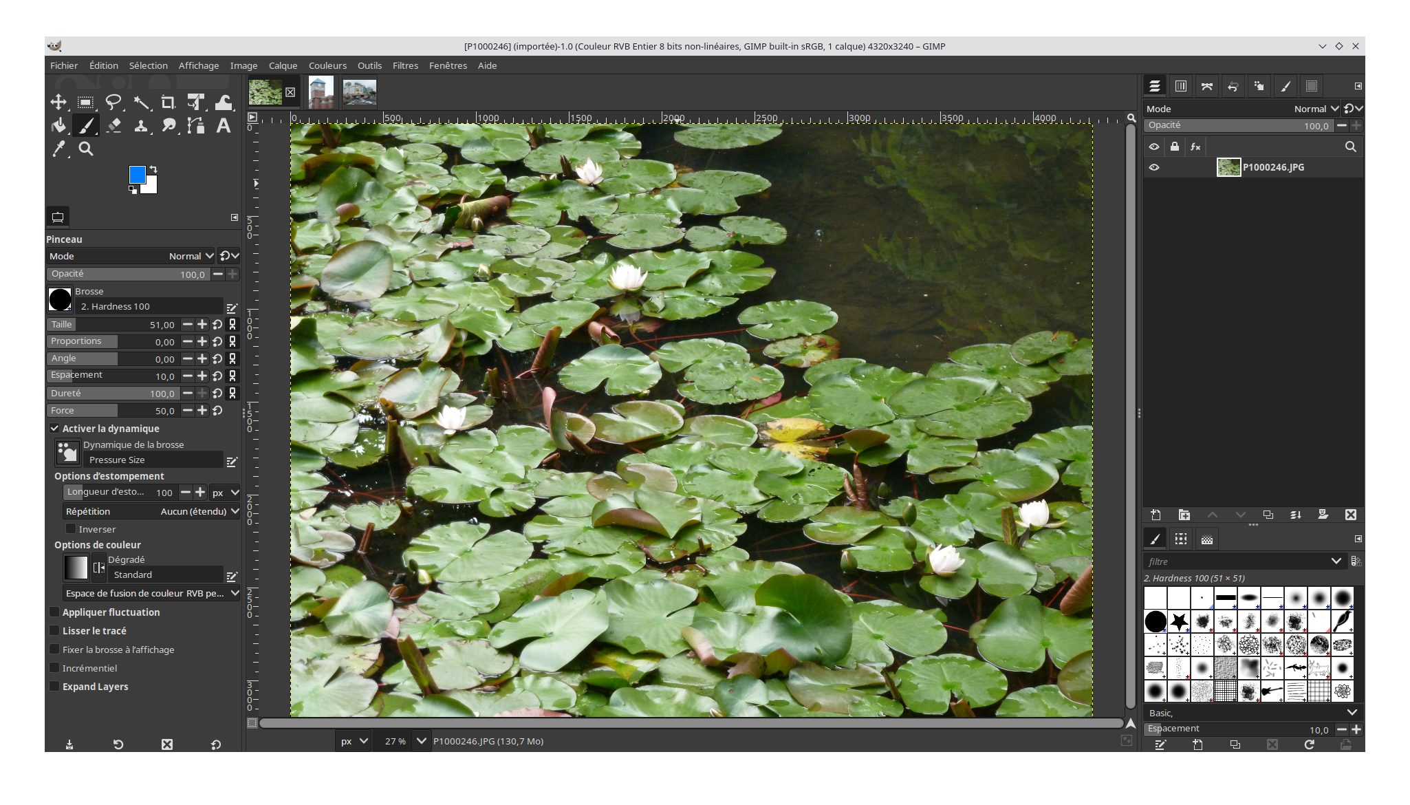 Interface Gimp