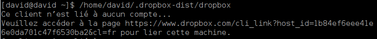 mageia_2_dropbox_4