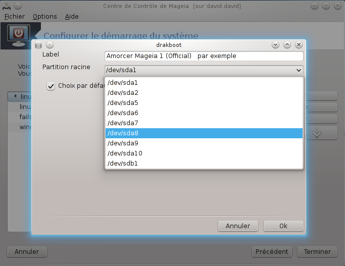 mageia_2_multiboot_8