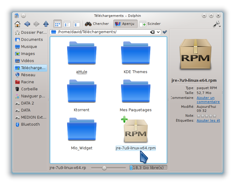 mageia_2_plugin_java_1