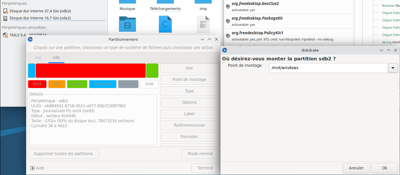 mageia_9_-_diskdrake_-_point_de_montage