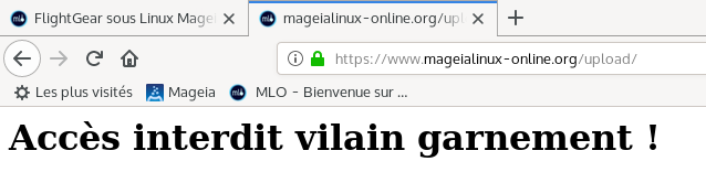 mageialinux-online_org-vilain-garnement mageialinux-online_org-vilain-garnement