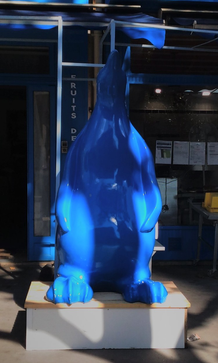 manchot_bleu_face
