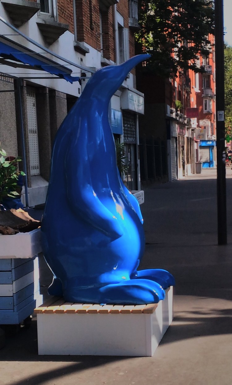 manchot_bleu_profil