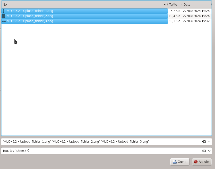 mlo-6_2_-_upload_fichier_4