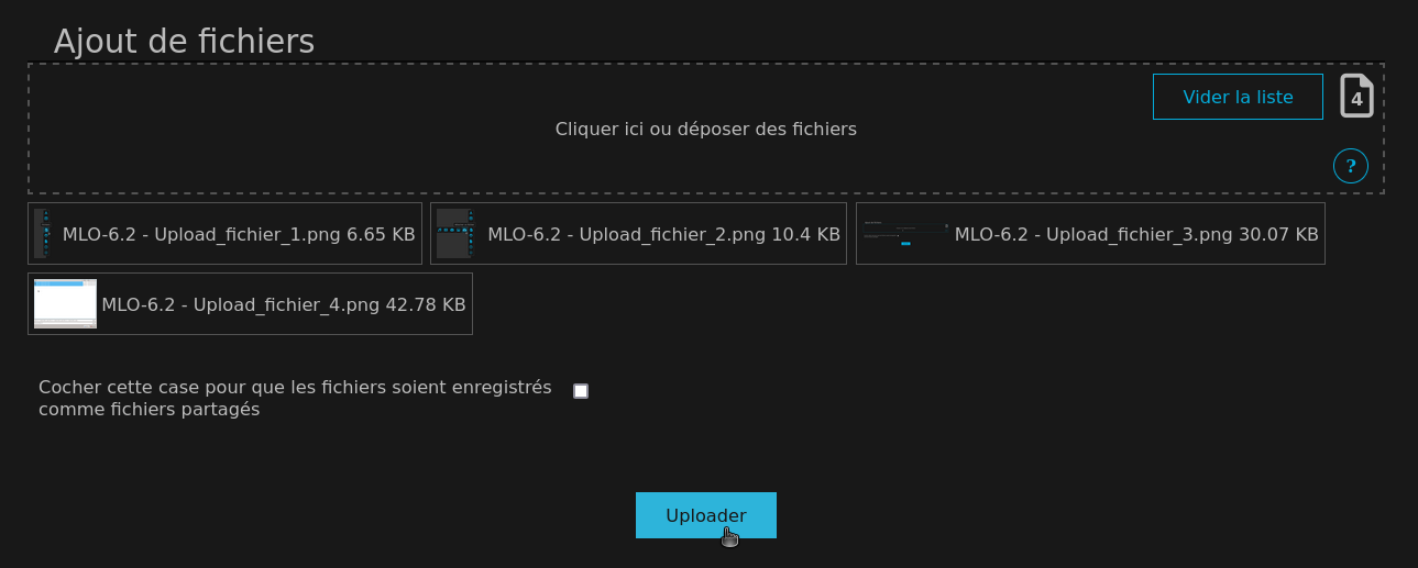 mlo-6_2_-_upload_fichier_5