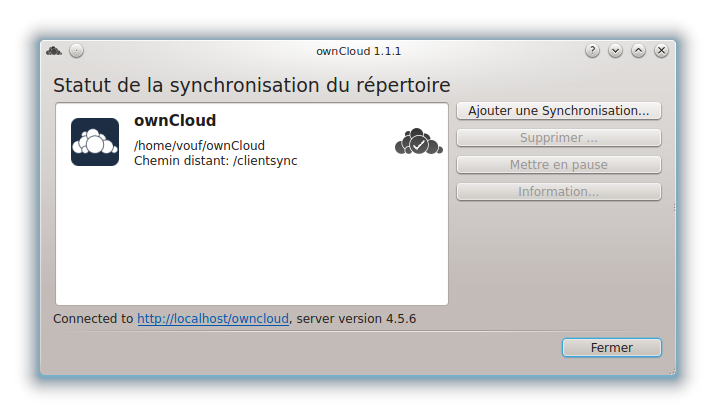 owncloud_client_1