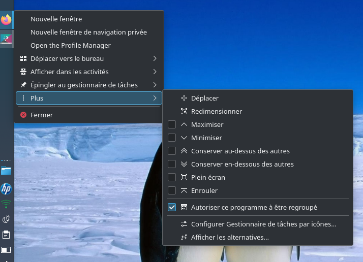 screenshot_barre_des_taches_20231124_195142
