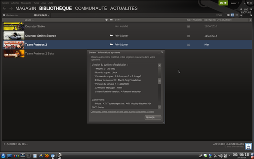 steam