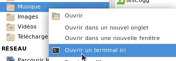 terminal