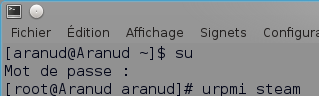 terminal